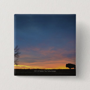 Badge Carré 5 Cm Buffalo au coucher du soleil en parc national