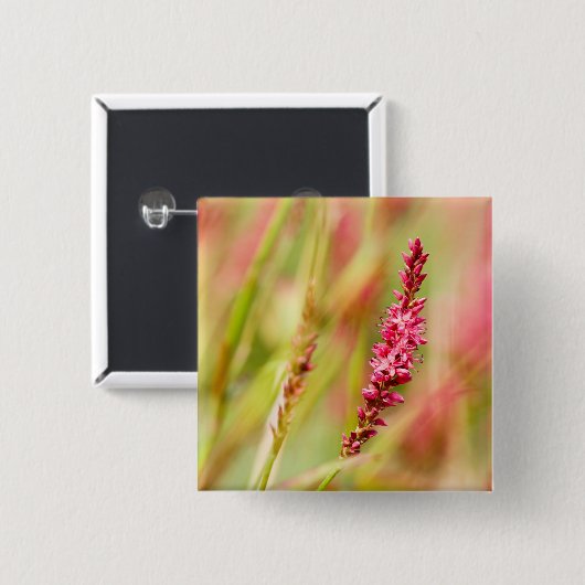 Badge Carré 5 Cm buisson de couleur (Devant & derrière)