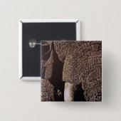 Badge Carré 5 Cm Bull Elephant (Devant & derrière)
