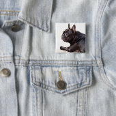 Badge Carré 5 Cm Bulldog français (En situation)