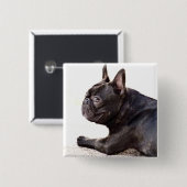 Badge Carré 5 Cm Bulldog français (Devant & derrière)
