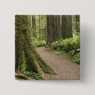 Badge Carré 5 Cm CA, Jedediah Smith State Park, Simpson-Reed