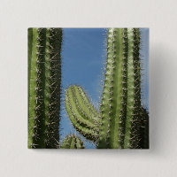 Cactus à baril I Photo du désert