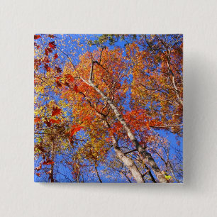 Badge Carré 5 Cm Cadeaux du parc national des sources chaudes d'aut