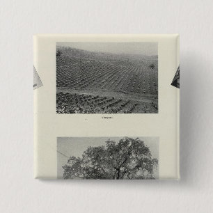 Badge Carré 5 Cm Californie 4