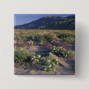 Badge Carré 5 Cm Californie, Anza-Borrego Desert SP, Sable