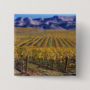 Badge Carré 5 Cm Californie, Comté de San Luis Obispo, vallée de 