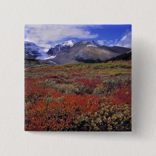 Badge Carré 5 Cm Canada, Alberta, Parc national de Banff. Les airel