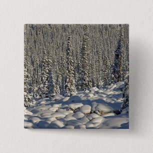 Badge Carré 5 Cm Canada, Alberta, parc national de Jasper.