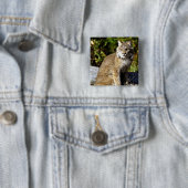 Badge Carré 5 Cm Canadien Lynx (En situation)