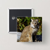 Badge Carré 5 Cm Canadien Lynx (Devant & derrière)
