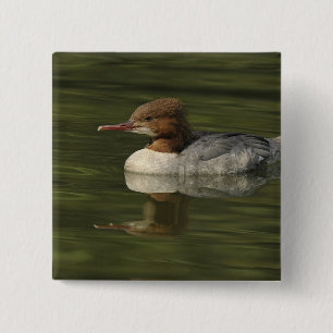 Badge Carré 5 Cm Canard de mer à tête rousse