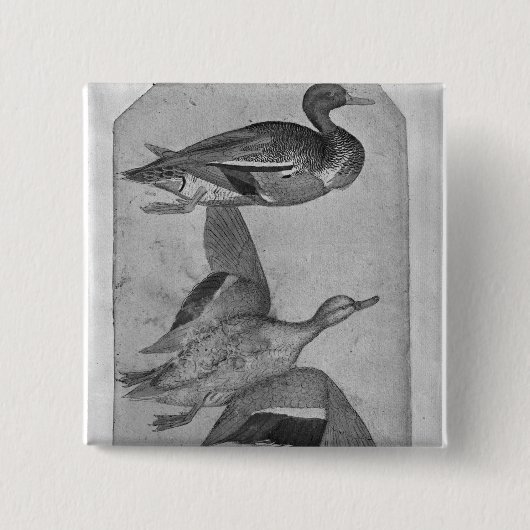 Badge Carré 5 Cm Canards, le de l'album de Vallardi (Devant)