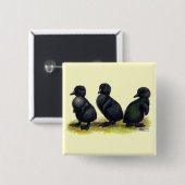 Badge Carré 5 Cm Canetons Black Cayuga (Devant & derrière)