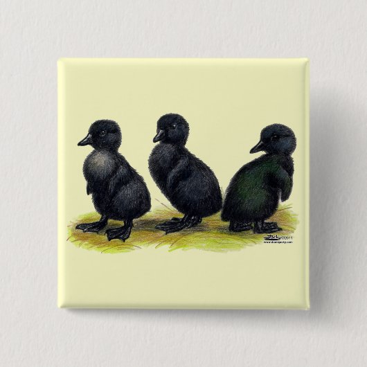 Badge Carré 5 Cm Canetons Black Cayuga (Devant)