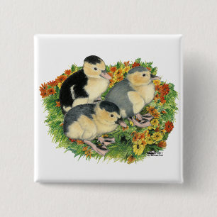 Badge Carré 5 Cm Canetons du jardin fleuri
