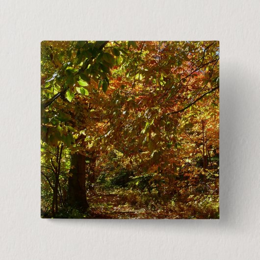 Badge Carré 5 Cm Canopée des Feuilles d'automne II Photographie d'a (Devant)