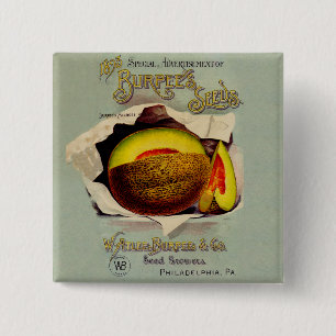 Badge Carré 5 Cm Cantaloupe Semences Publicité Art Antique