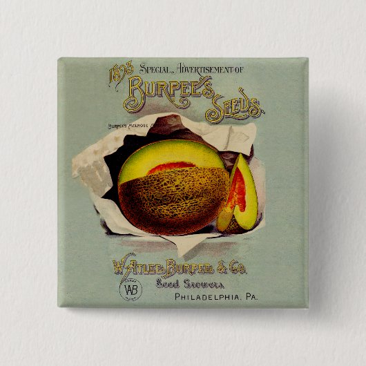 Badge Carré 5 Cm Cantaloupe Semences Publicité Art Antique (Devant)