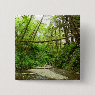 Badge Carré 5 Cm Canyon Fern I au Parc national de Redwood