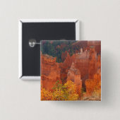 Badge Carré 5 Cm Canyon Utah de Bryce (Devant & derrière)