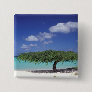 Badge Carré 5 Cm Caraïbes, Aruba. Plage d'Eagle