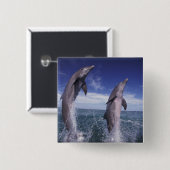 Badge Carré 5 Cm Caraïbes, dauphins de Bottlenose Tursiops (Devant & derrière)