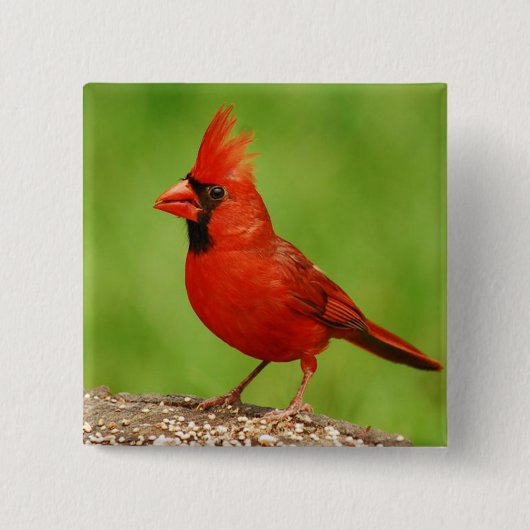 Badge Carré 5 Cm Cardinal (Devant)
