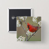 Badge Carré 5 Cm Cardinal du Nord (Devant & derrière)