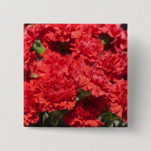 Badge Carré 5 Cm Carnations rouges (Devant)