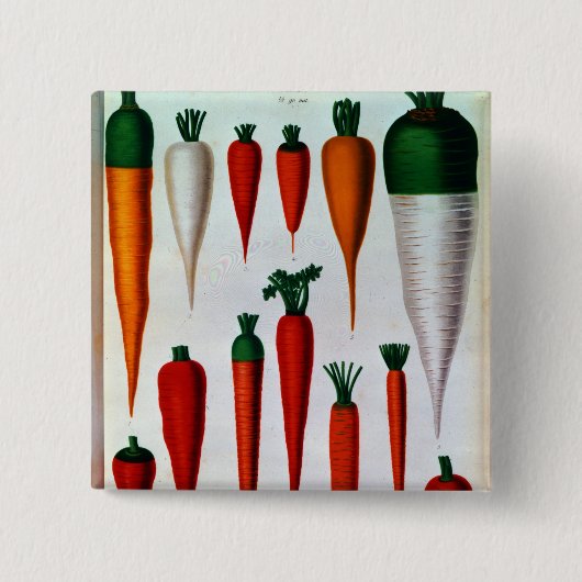 Badge Carré 5 Cm Carottes (Devant)