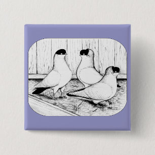 Badge Carré 5 Cm Casque Pigeon Trio