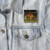 Badge Carré 5 Cm Cerf à queue blanche, Odocoileus virginianus (En situation)