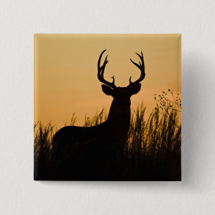 Badge Carré 5 Cm cerf de Virginie Odocoileus virginianus)