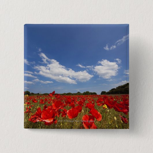 Badge Carré 5 Cm Champ complètement des fleurs rouges (Devant)