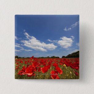 Badge Carré 5 Cm Champ complètement des fleurs rouges