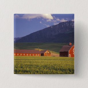 Badge Carré 5 Cm Champ de blé dans la vallée de Wallowa, juste à l'