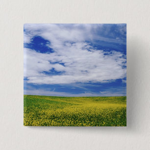 Badge Carré 5 Cm Champ de fleurs de canola ou de moutarde, Palouse
