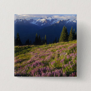 Badge Carré 5 Cm Champ de lupine, Mt Olympus et nuages à