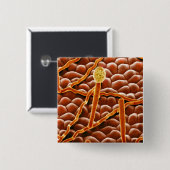 Badge Carré 5 Cm Champignon de rouille pulvérulente sur la (Devant & derrière)