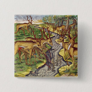 Badge Carré 5 Cm Chasse à mâle, 'de Narratio brevis