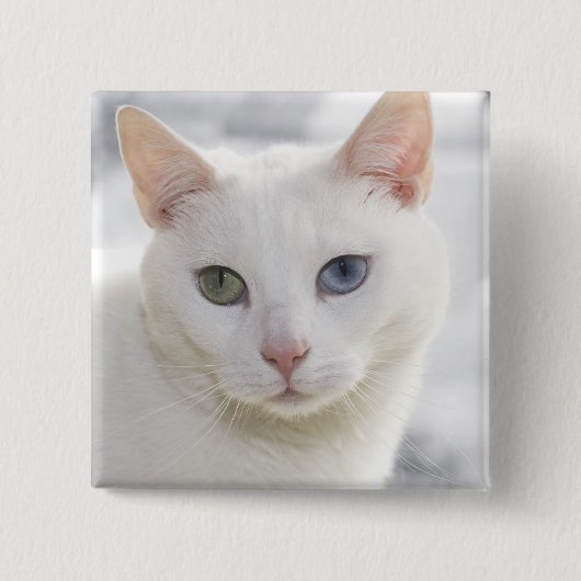 Badge Carré 5 Cm chat blanc aux yeux étranges (Devant)