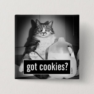 Badge Carré 5 Cm Chat Boire Du Lait De Jug