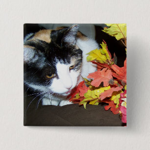 Badge Carré 5 Cm Chat calicot Automne Feuilles mortes Bouton
