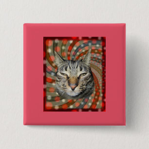 Badge Carré 5 Cm Chat cool - VOUS ACCEPTEZ Votre Cadeau !