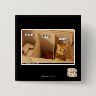 Badge Carré 5 Cm Chat de blanchisserie