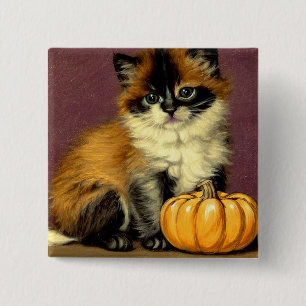 Badge Carré 5 Cm Chat d'Halloween Ragdoll vintage