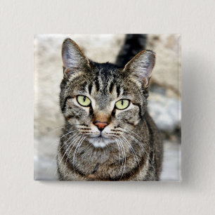 Badge Carré 5 Cm Chat égyptien