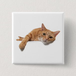 Badge Carré 5 Cm Chat Orange Posé En Bas