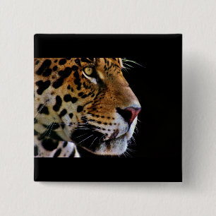 Badge Carré 5 Cm chat sauvage ronronne